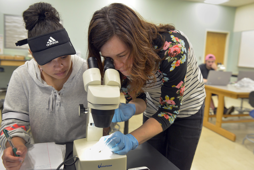 A biology teacher looks through a microscope